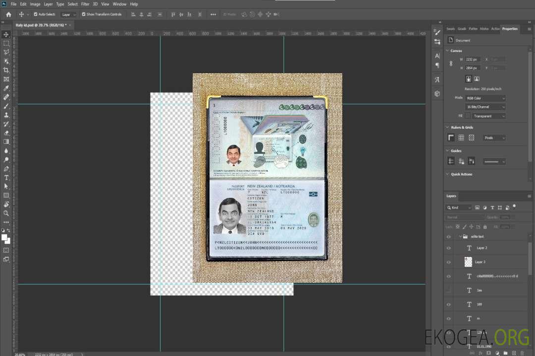 Photolook du passeport néo-zélandais 2019-présent template Photolook du passeport néo-zélandais 2019-présent template